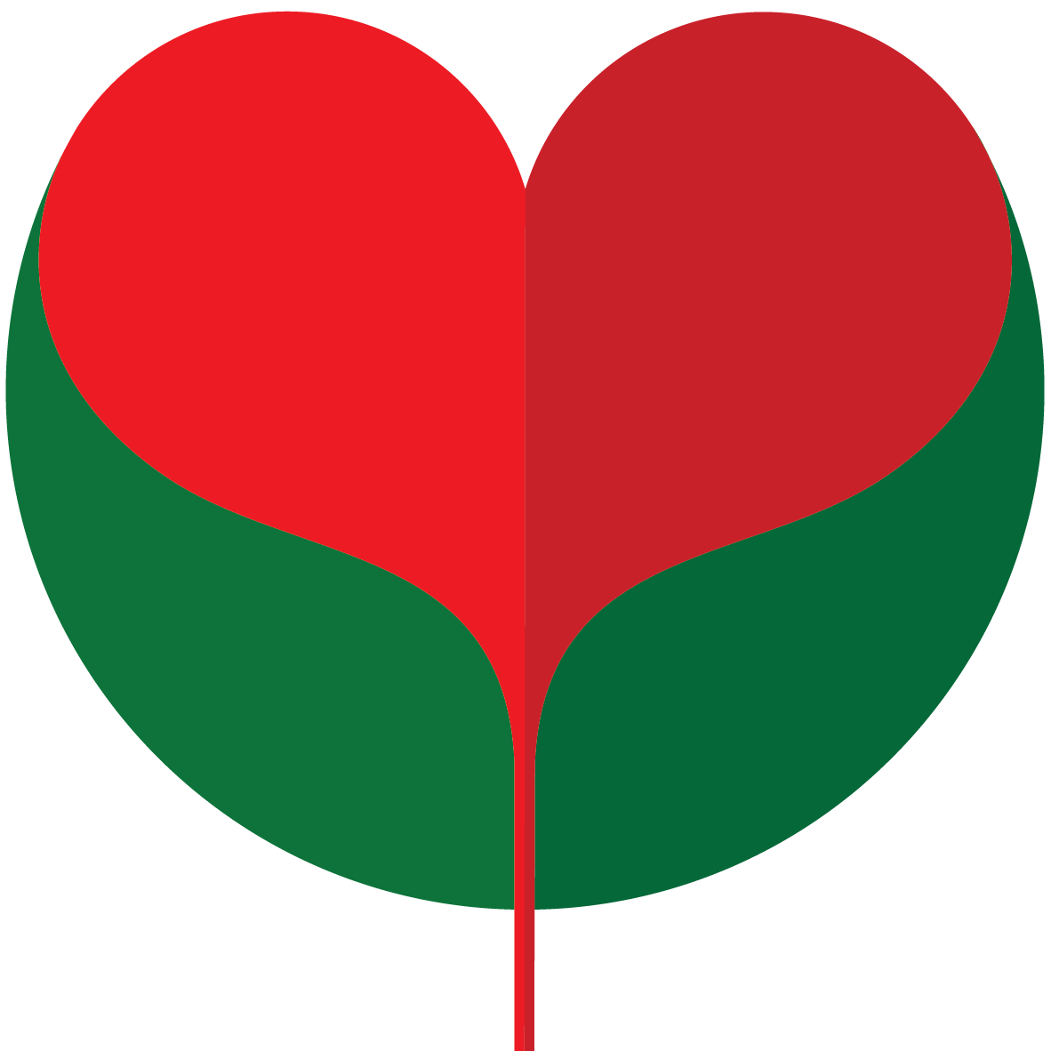 Bkwellness Logo